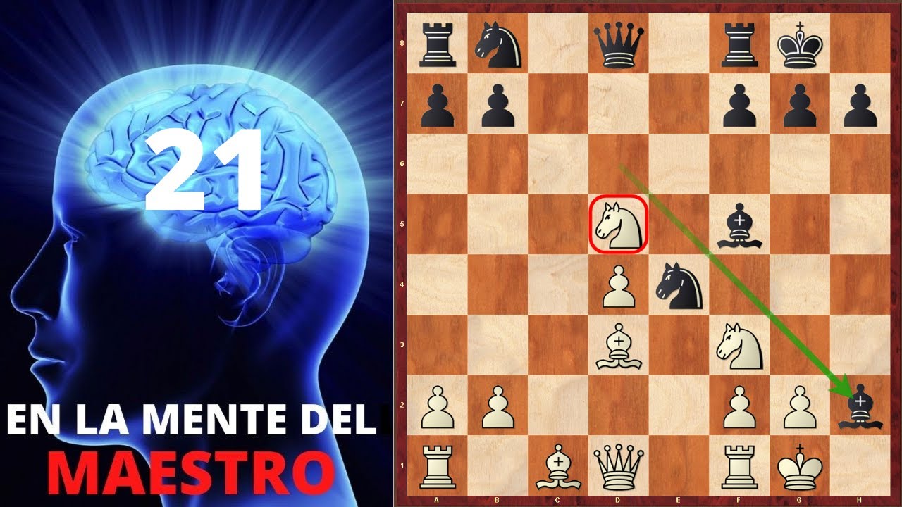 En la Mente del Maestro #21 | Defensa Petroff