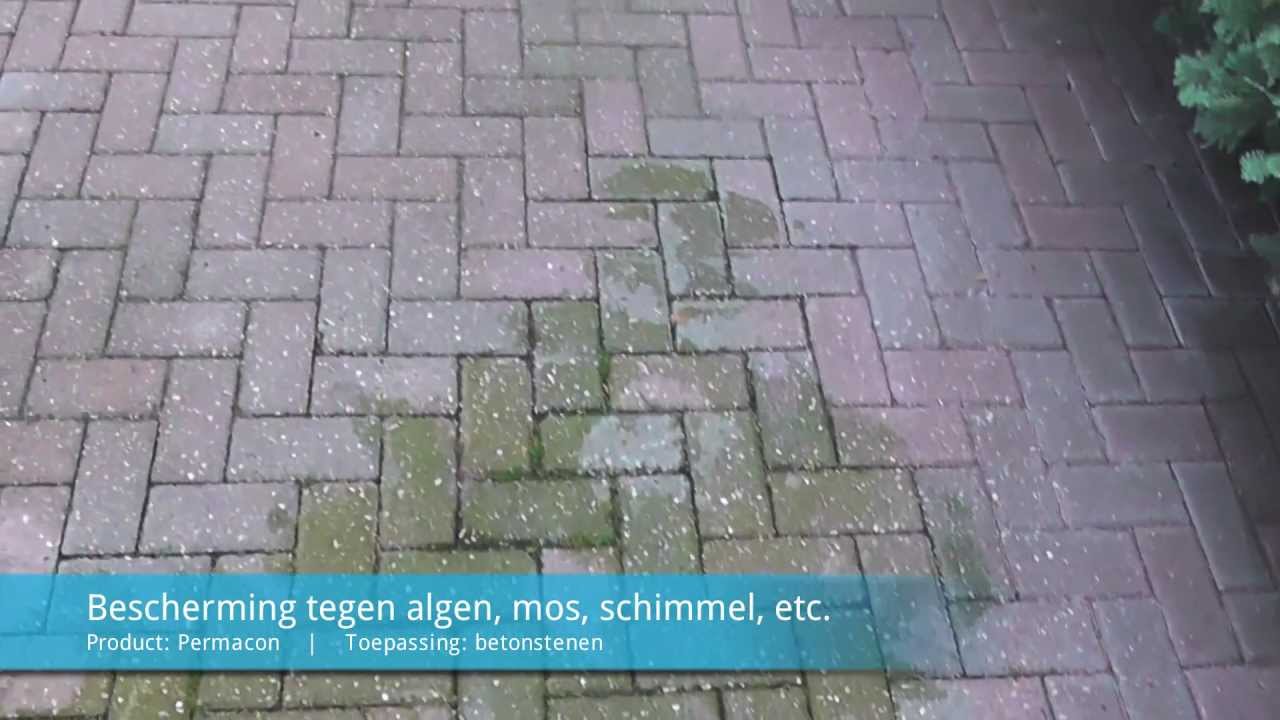 Permacon: beton / stenen beschermen tegen Algen, Mos, Schimmels.