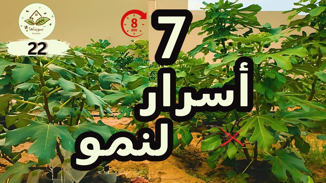 أهمية غسل الأشجار في الصيف: سر النمو السريع - الكثير يغفل عنها (22)