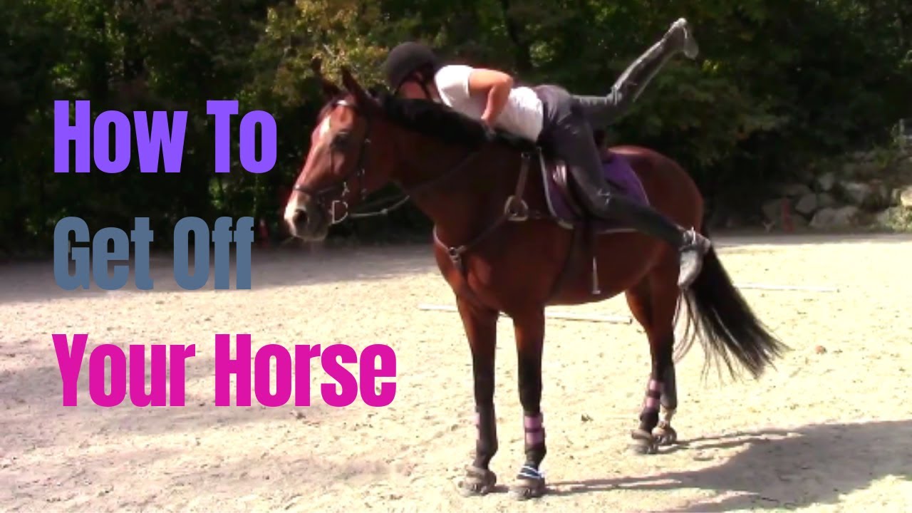 How To Get Off A Horse (The Right Way)