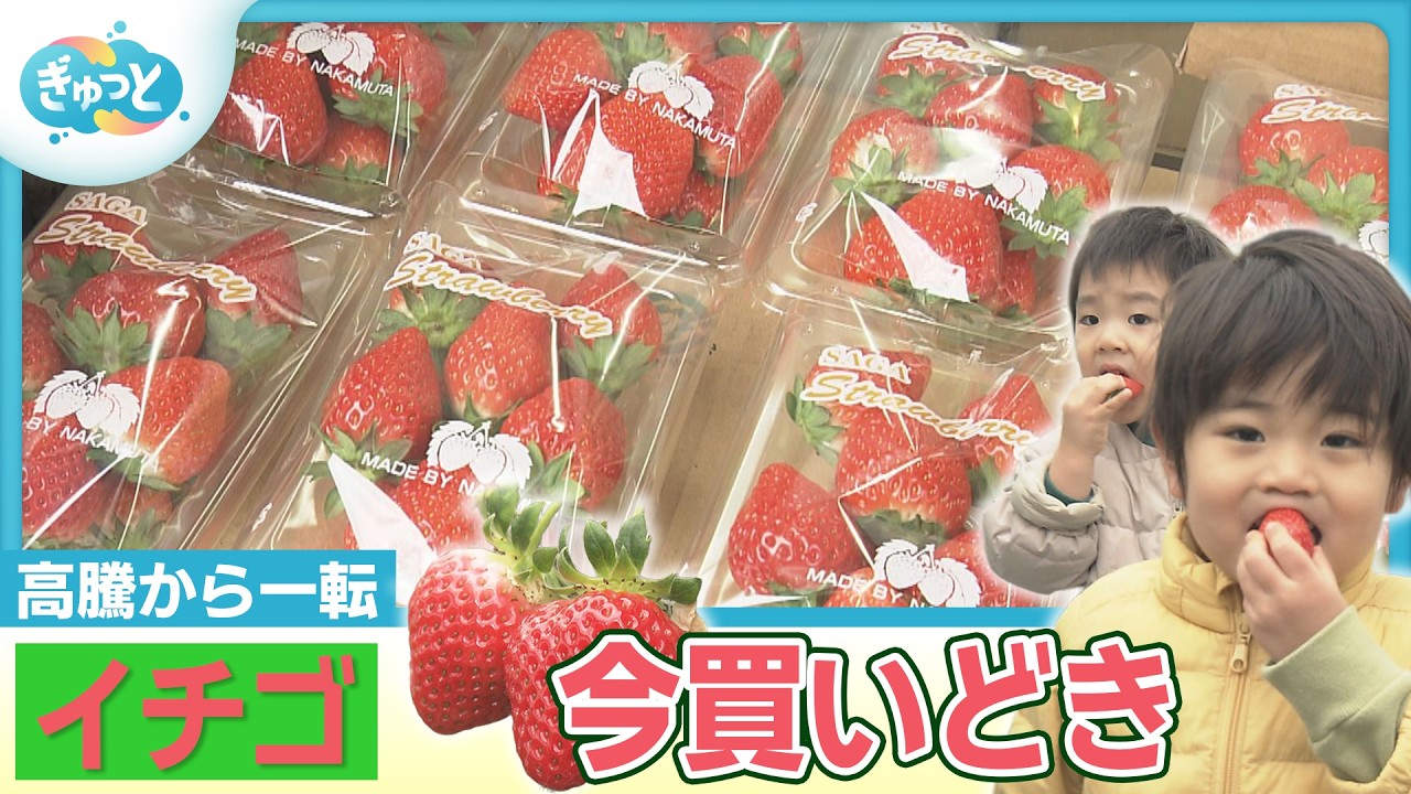 一時１パック“1000円超”のイチゴ　店頭価格500円以下に【ぎゅっと】(2026年2月10日OA)