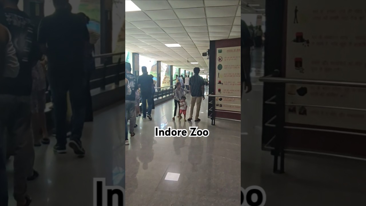 Zoo...#shorts #funwithmahi29 #indorezoo