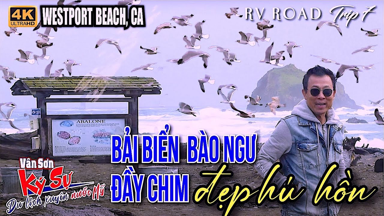 VAN SON 😊 Bải Biển Bào Ngư Đầy Chim | Westport Beach, Ca -RV Road Trip 7