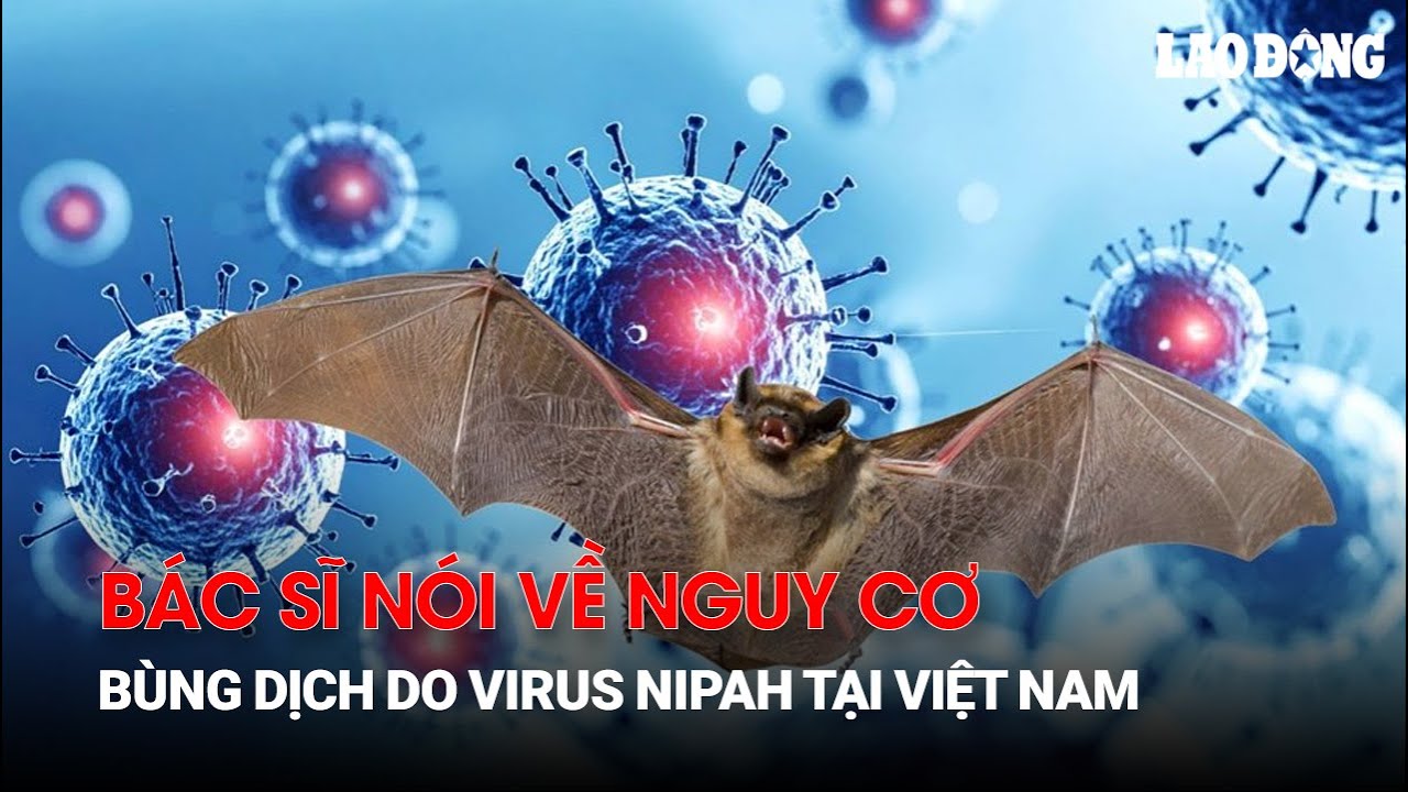 Bác sĩ nói về nguy cơ bùng dịch do virus Nipah tại Việt Nam | Báo Lao Động