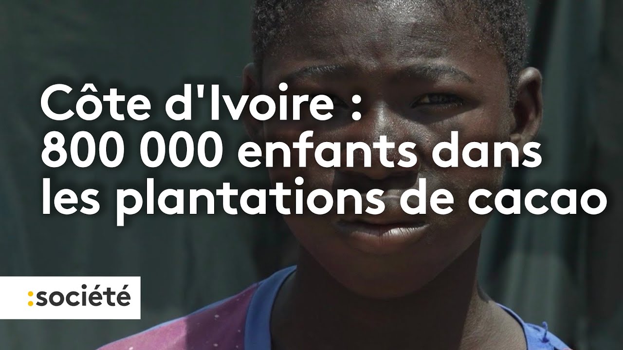 Côte d'Ivoire : 800 000 enfants travaillent dans les plantations de cacao