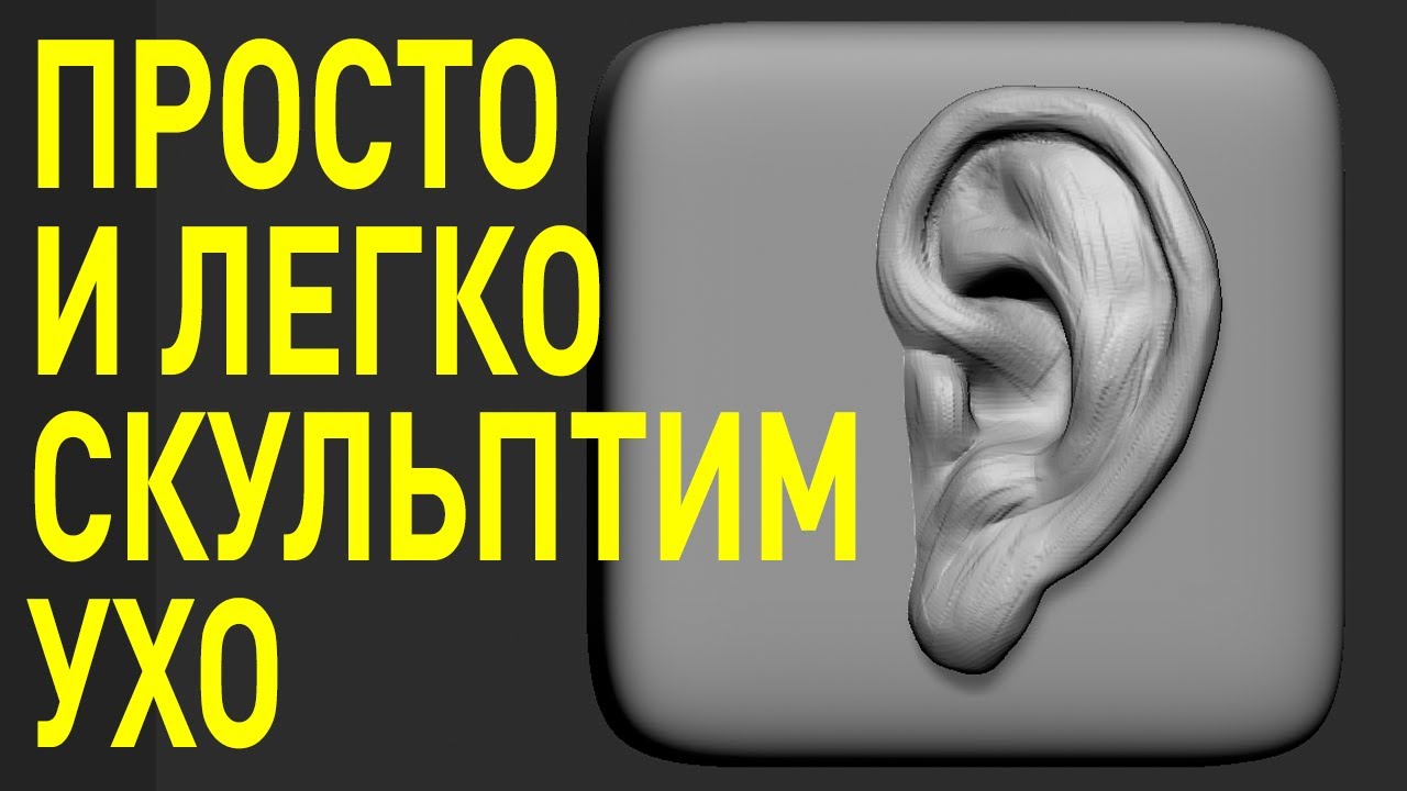 Просто и быстро скульптим уши в Zbrush