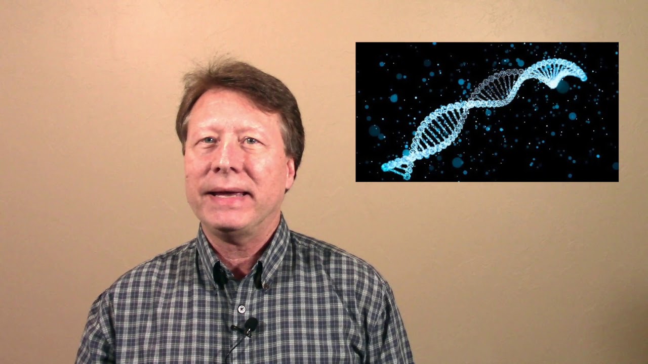 The Creator Revealed: Addendum B - The 