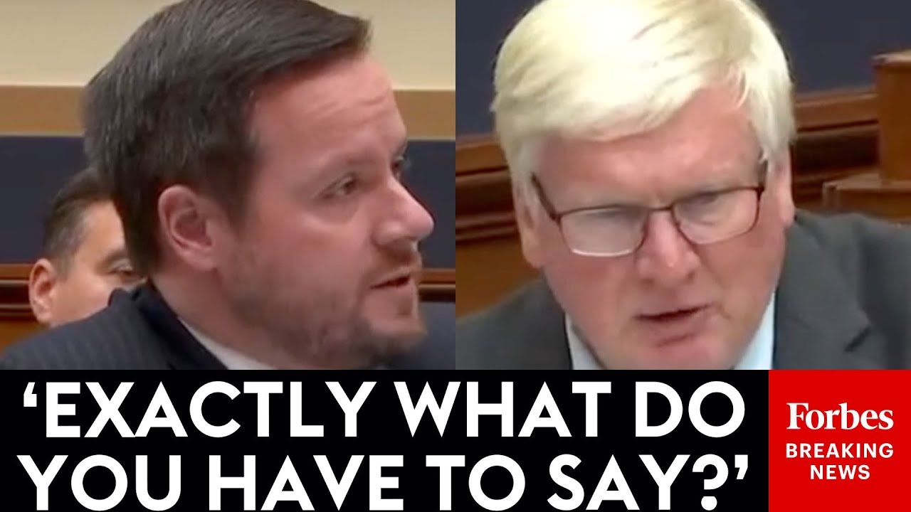 Grothman Asks U.K. Lawyer: What Do You Have To Say To Be Sent To Prison In Great Britain?