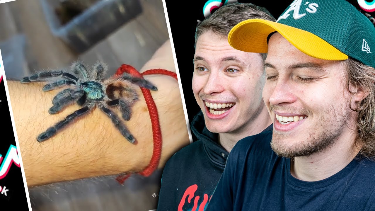 TIK-TOKY po ktorých sa prestaneš báť Pavúkov! w/ Kidžen