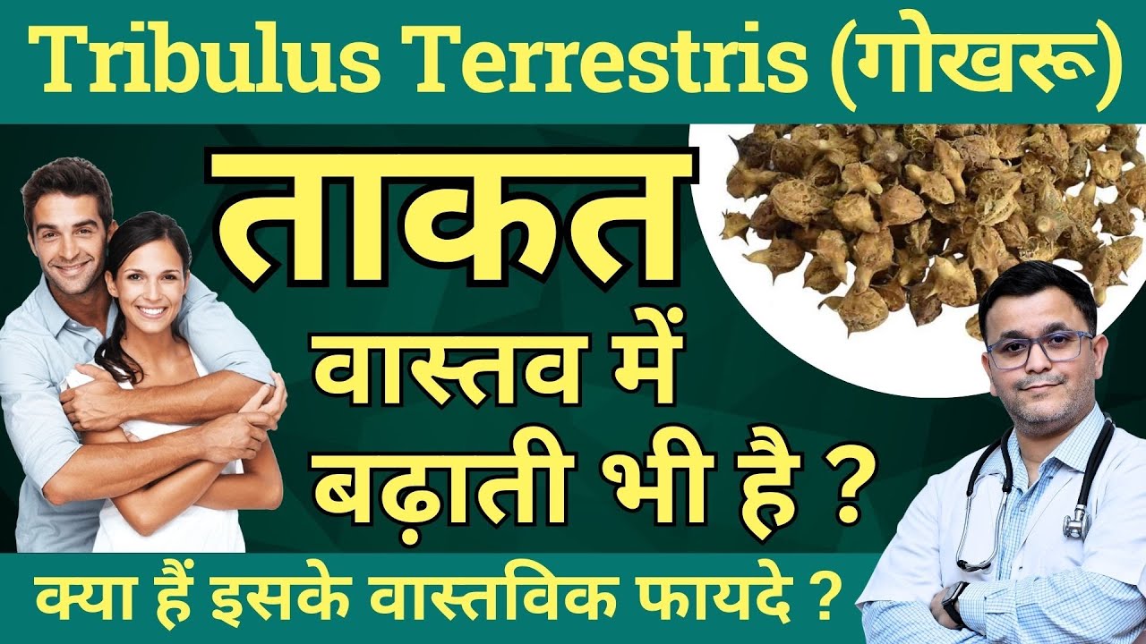 Gokhru ke fayde Tribulus Terrestris benefits Gokhru benefits Tribulus Q Homeopathic Medicine