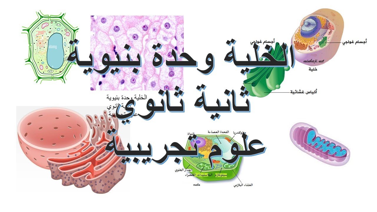 الخلية وحدة بنيوية علوم طبيعية ثانية ثانوي علوم تجريبية