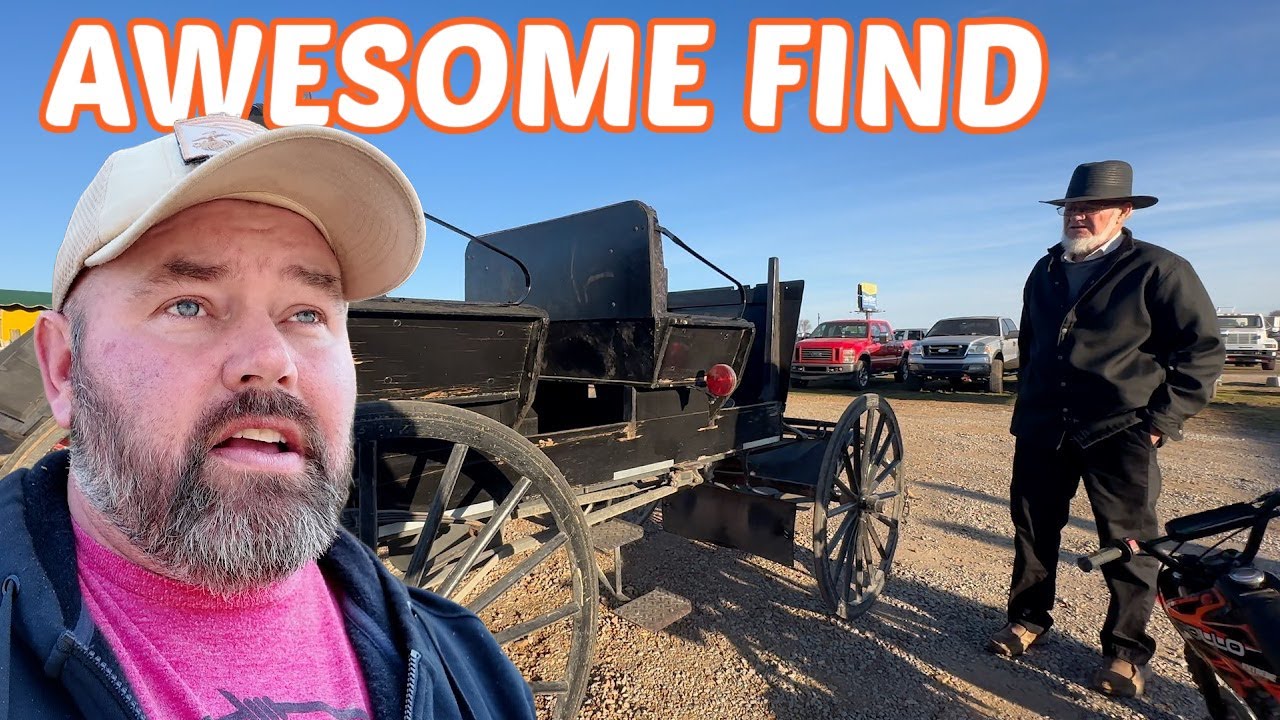 I Went To An AMISH AUCTION...Wait Until You See What I Bought!