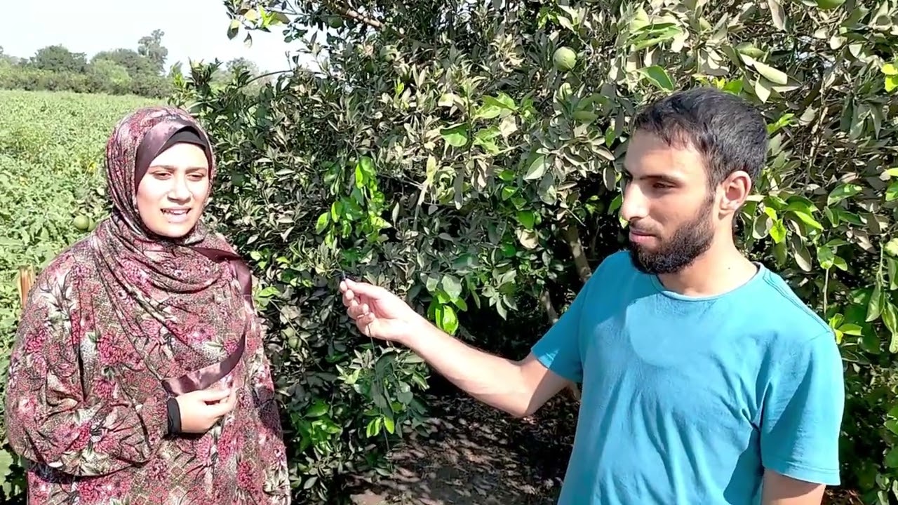الخجل الذي أخفى خلفه إبداعاً: لقاء مع صاحبة الصوت الملائكي.