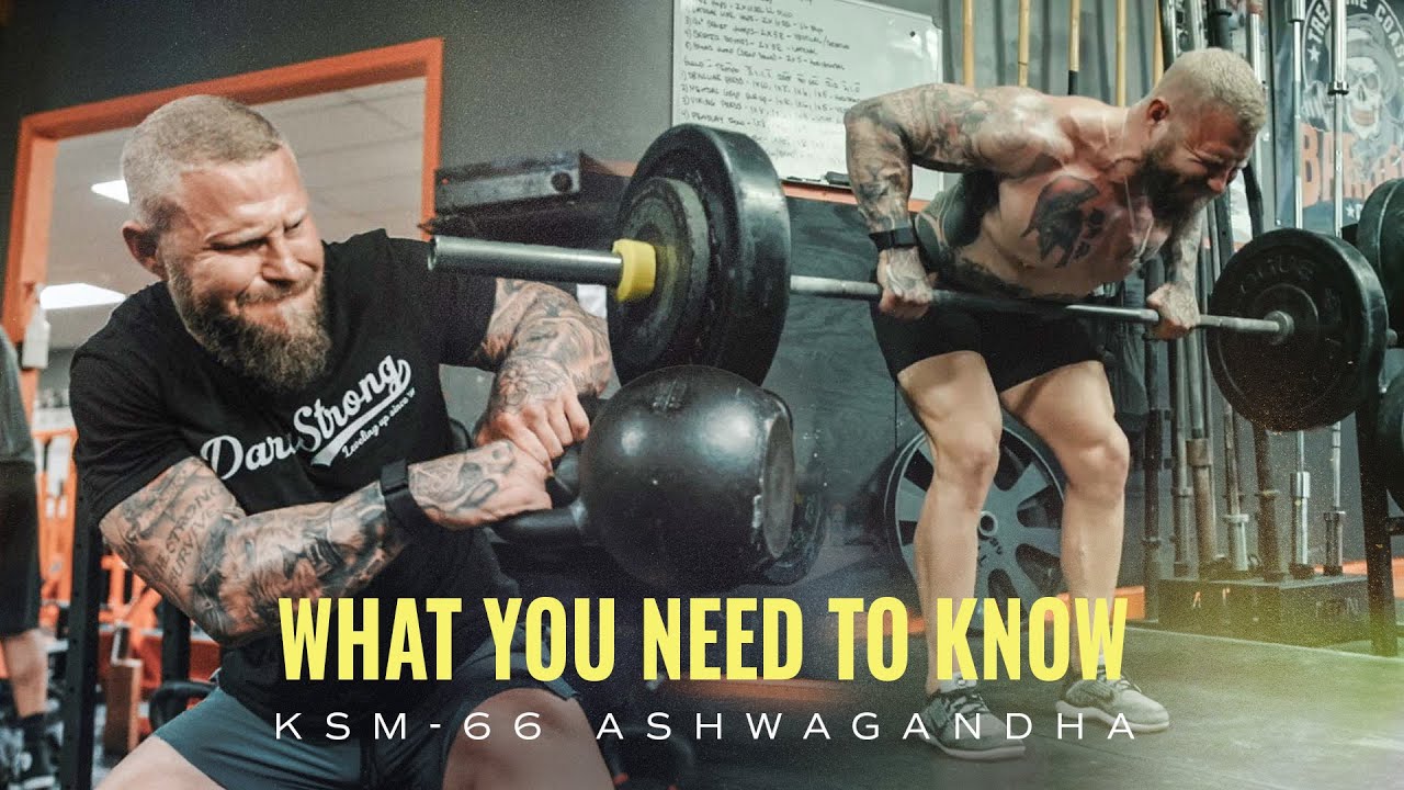 Co MUSISZ wiedzieć o KSM-66 Ashwagandha