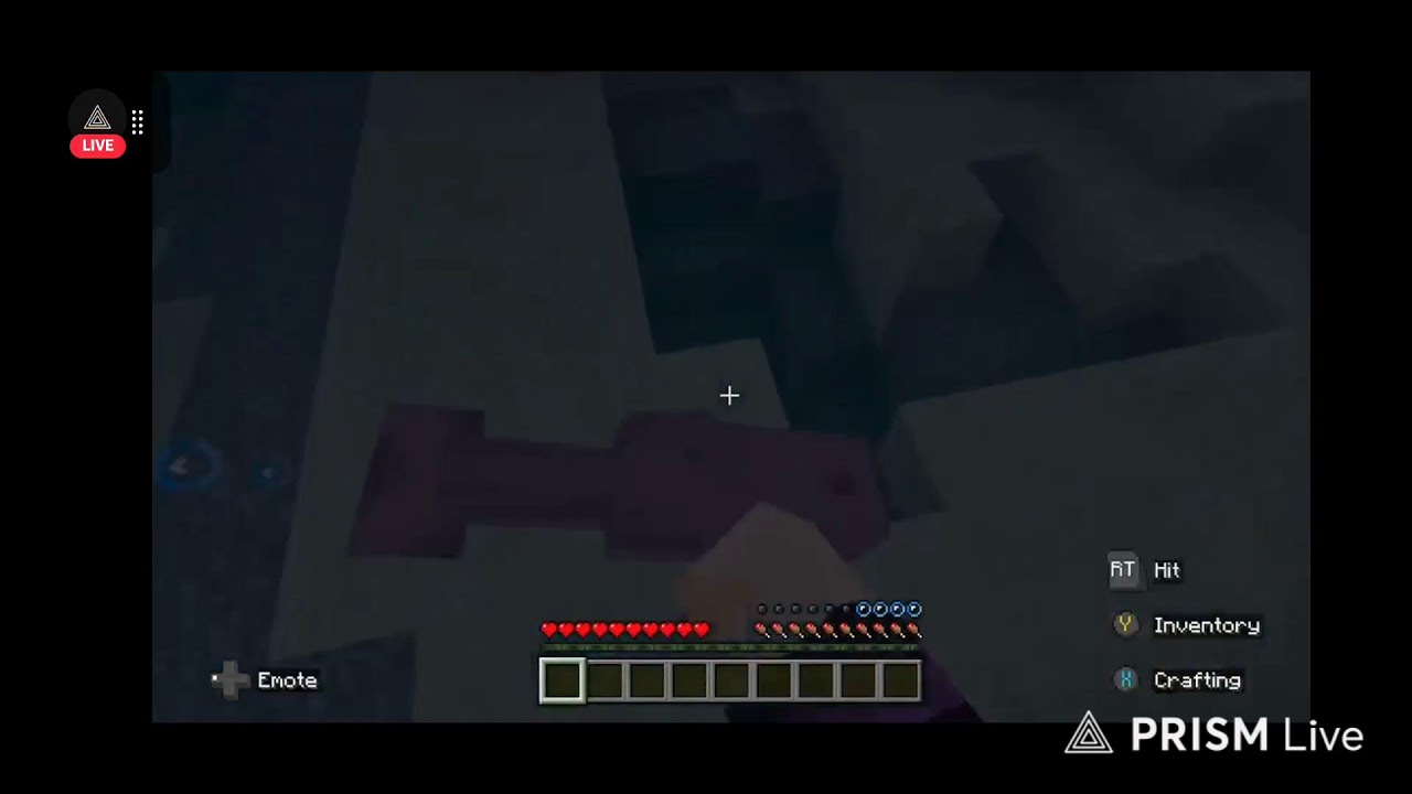 Minecraft Live Stream Fail!