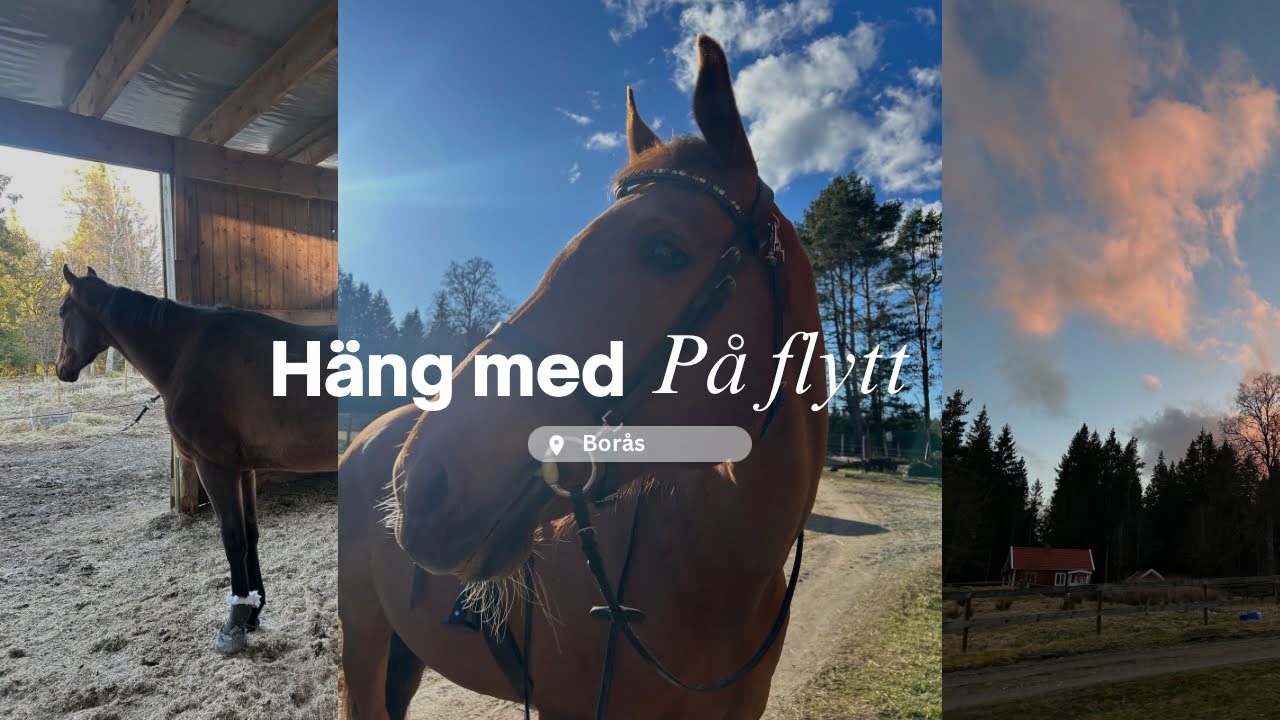 Vi flyttar ❤️ Se vårt nya stall!!!!