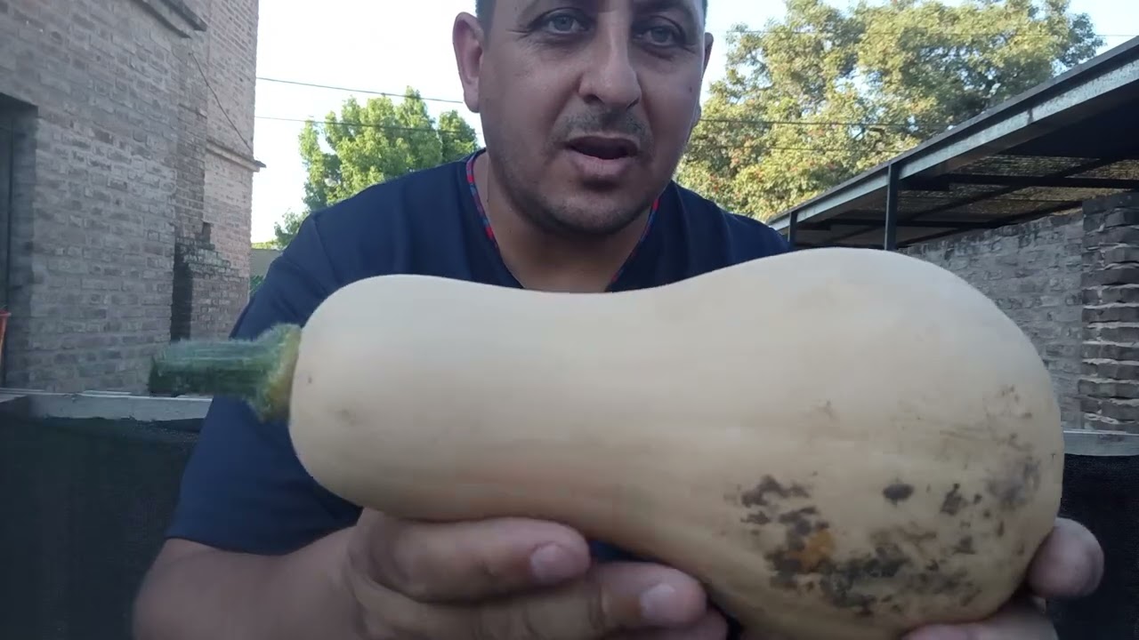 Primera Cosecha De Calabaza 🎃!! Jueves 29 De Enero.. Súper Felizzzz**