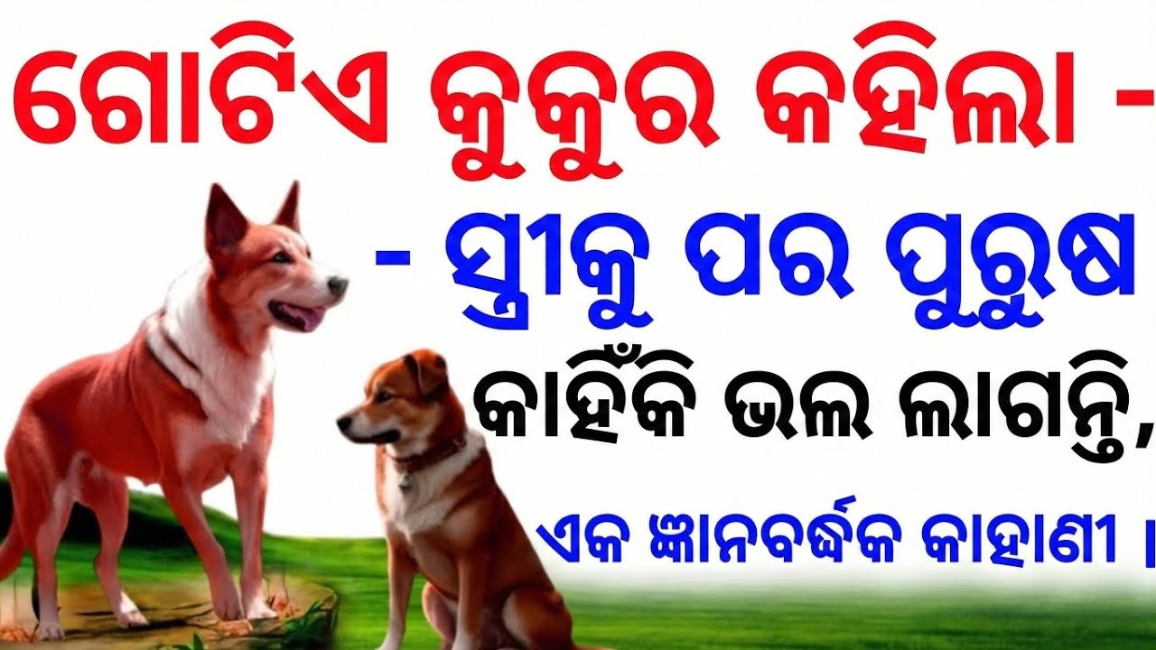 ଗୋଟିଏ କୁକୁର କହିଲା - ସ୍ତ୍ରୀକୁ ପର ପୁରୁଷ କାହିଁକି ଭଲ ଲାଗନ୍ତି, ଏକ ଜ୍ଞାନବର୍ଦ୍ଧକ କାହାଣୀ ।