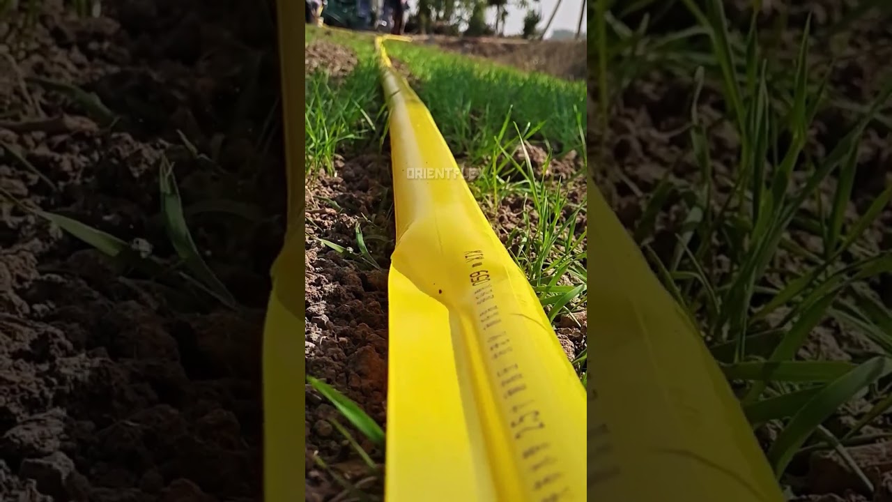 pvc flat hose lay flat hose pipe for irrigation #shorts #supplier #lifehack #lawn #farmer