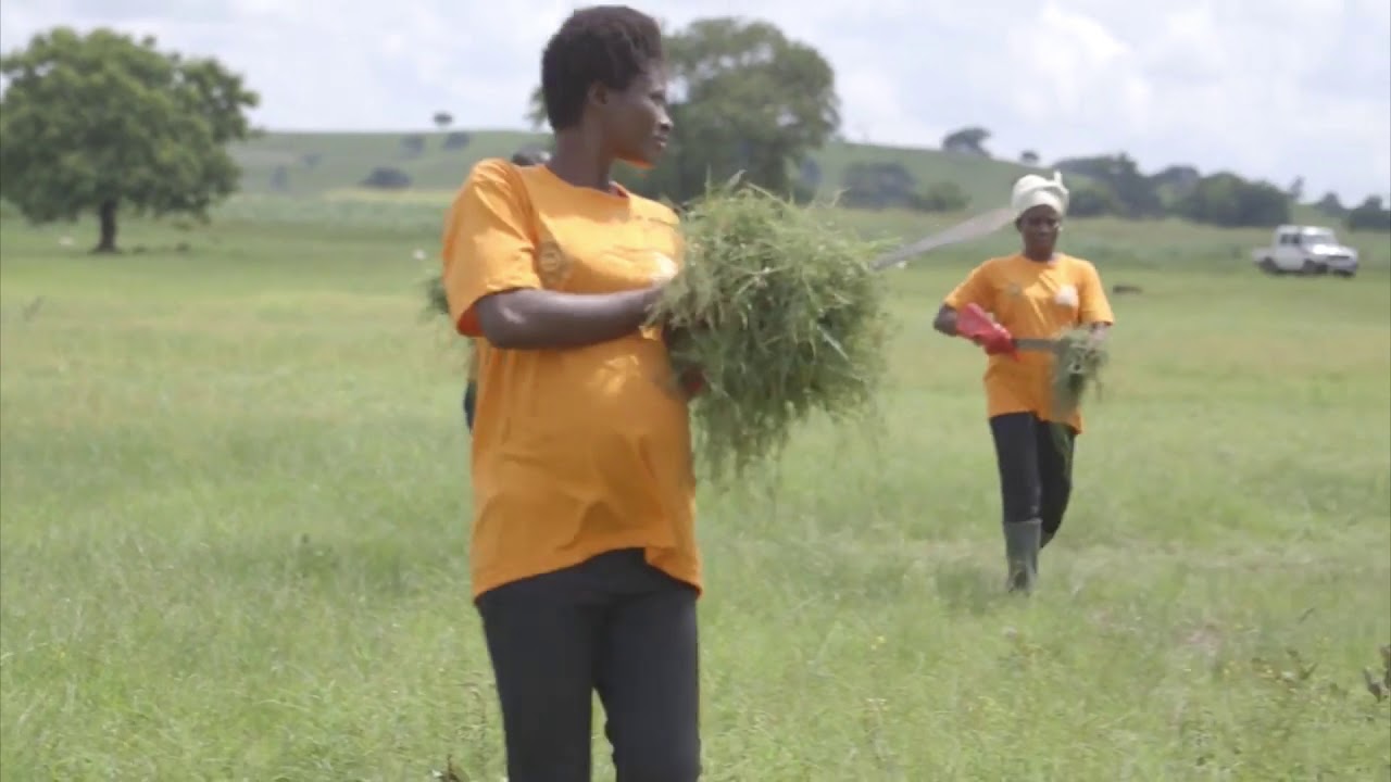 Yameriga Community
