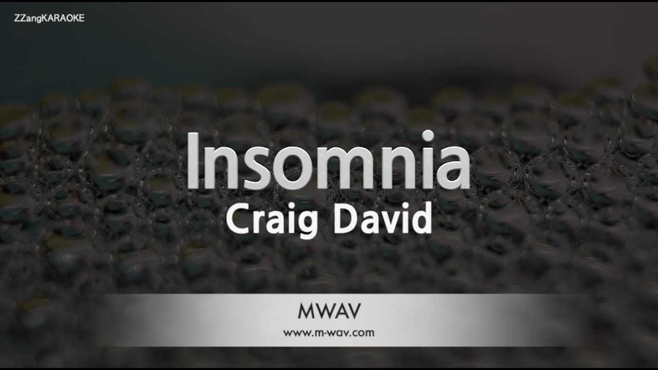 Craig David - Insomnia (Instrumental) (Karaoke Version)