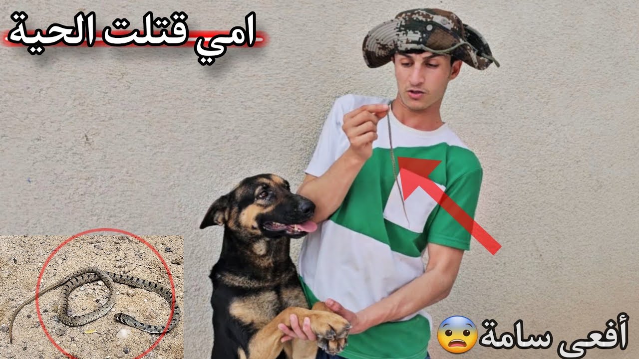 ضهور أفعى سامة في بيتي!! امي قتلت الأفعى بمساعدة القط دعبس _ صدمت الكلاب😨😂