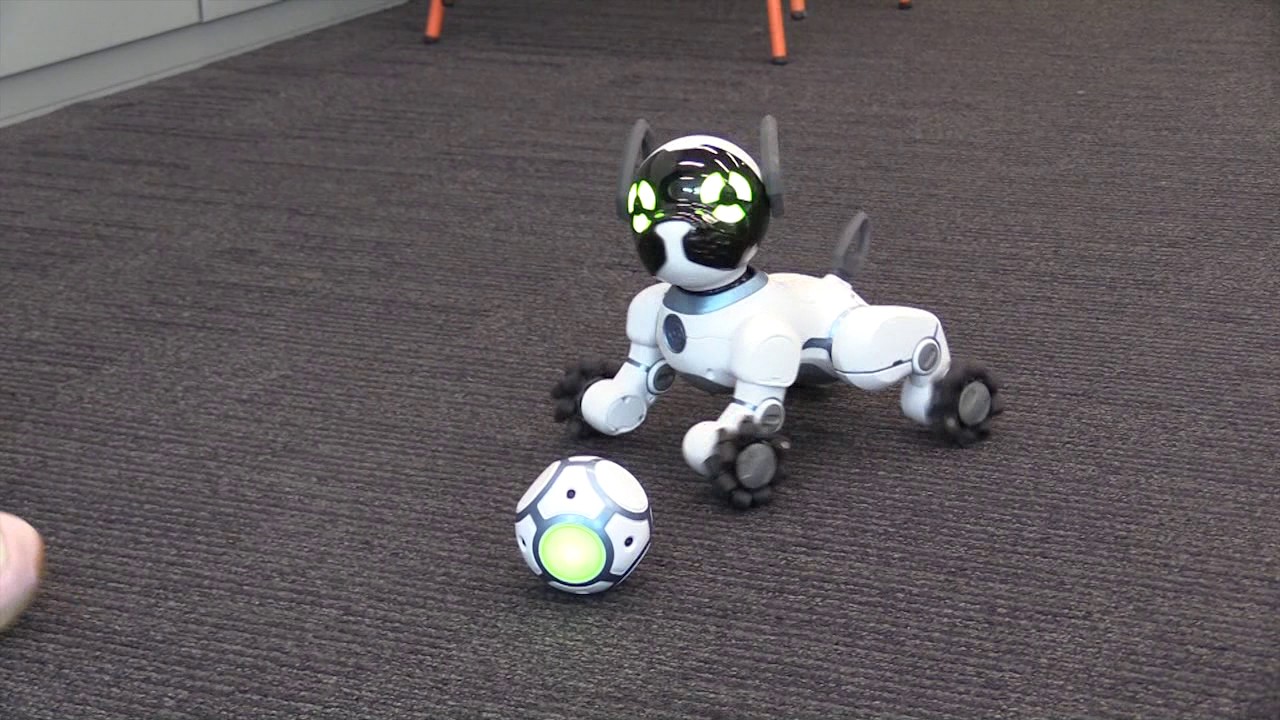 On a testé le chien robot