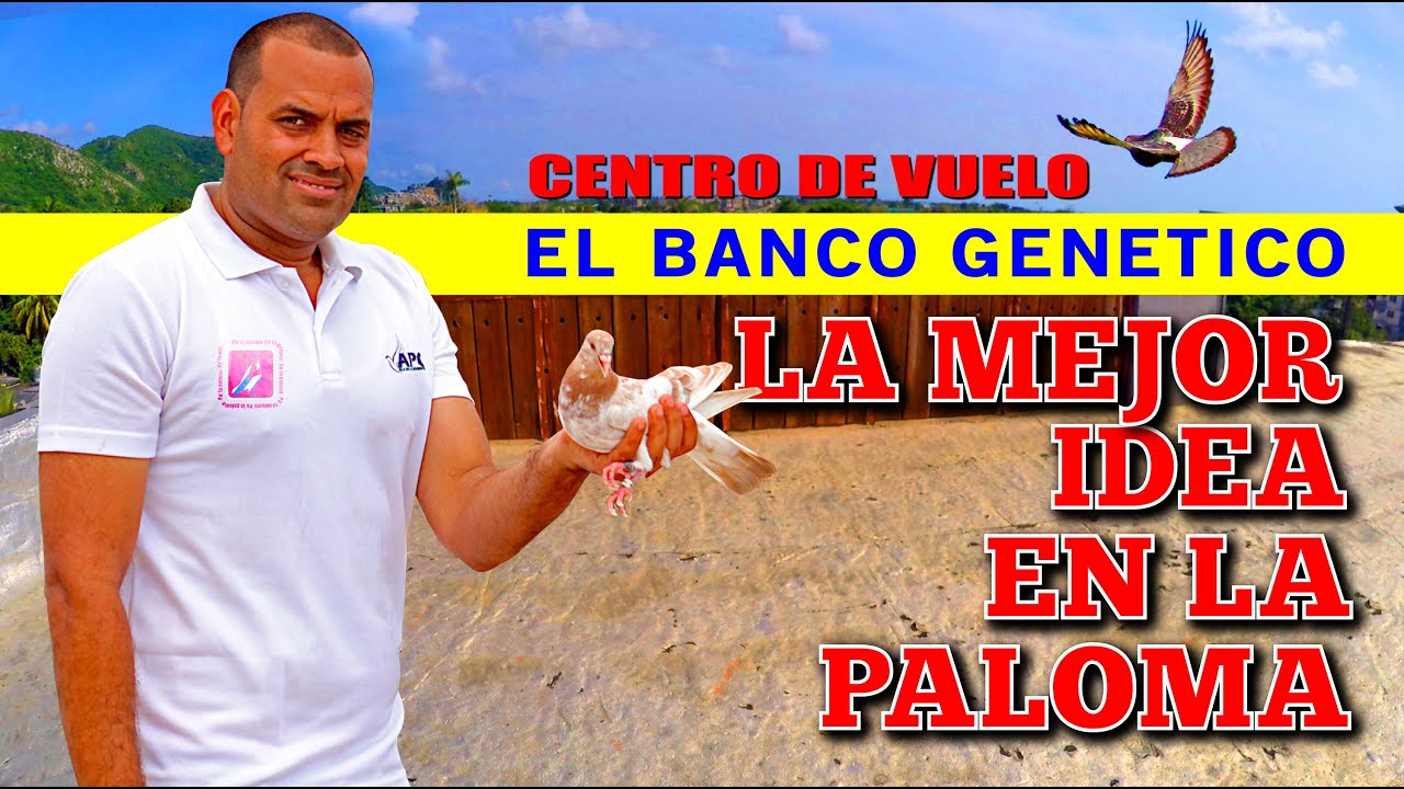 Centro de Vuelo del BANCO GENETICO en La Isla.