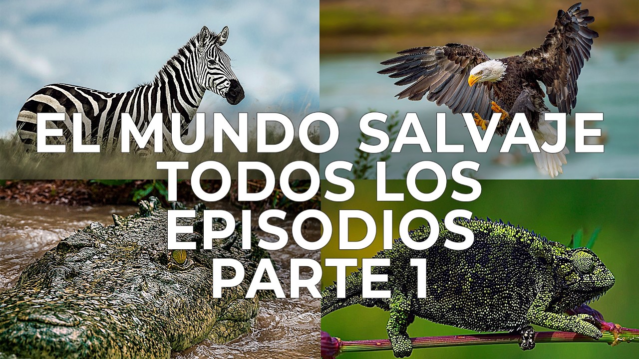 El Mundo Salvaje: Todos los Episodios Parte 1 | Free Documentary Nature -  Español