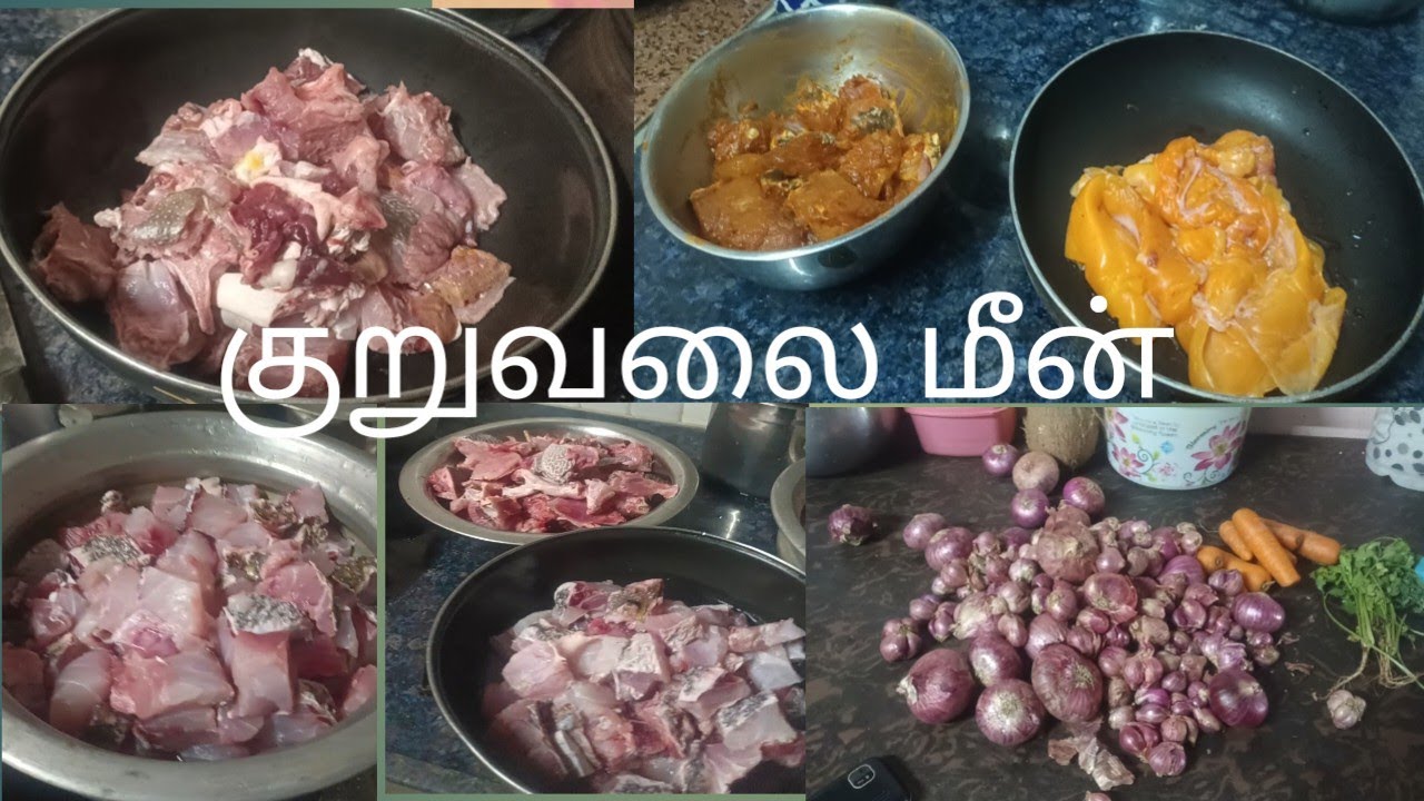 மதியத்தில் இருந்து தான் வேலை நடந்தது/மீன் வாங்கியாச்சி/vlog