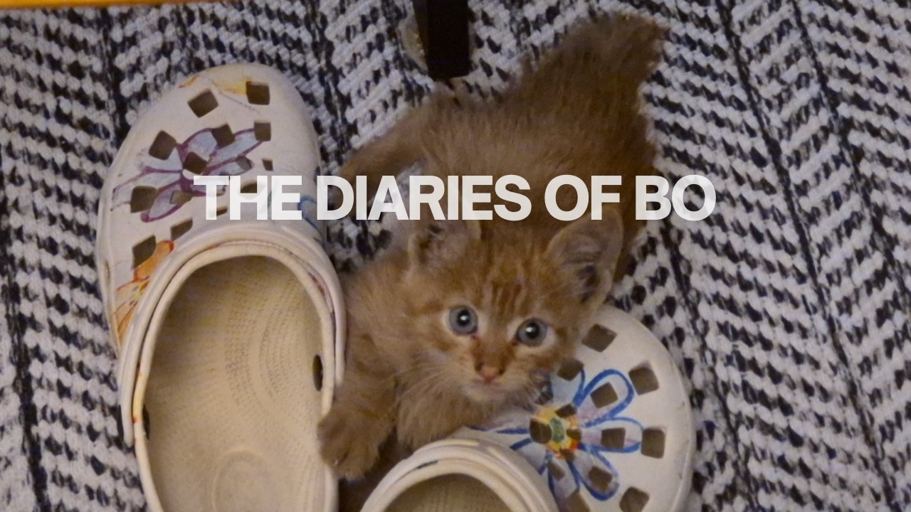 Before Heading to Istanbul: Luna's Bath and Börek Recipe!