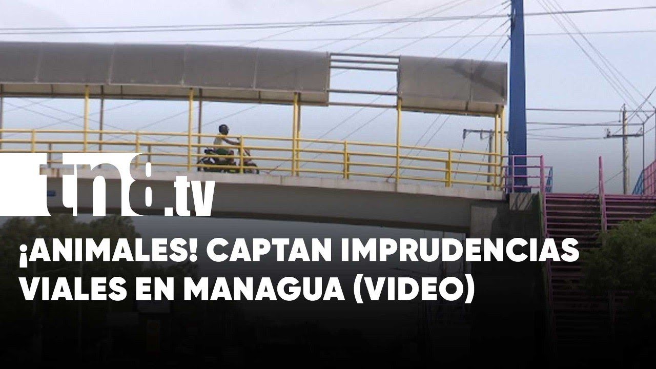 Para «animal» no se estudia: Imprudencias viales en Managua (VIDEO) - Nicaragua