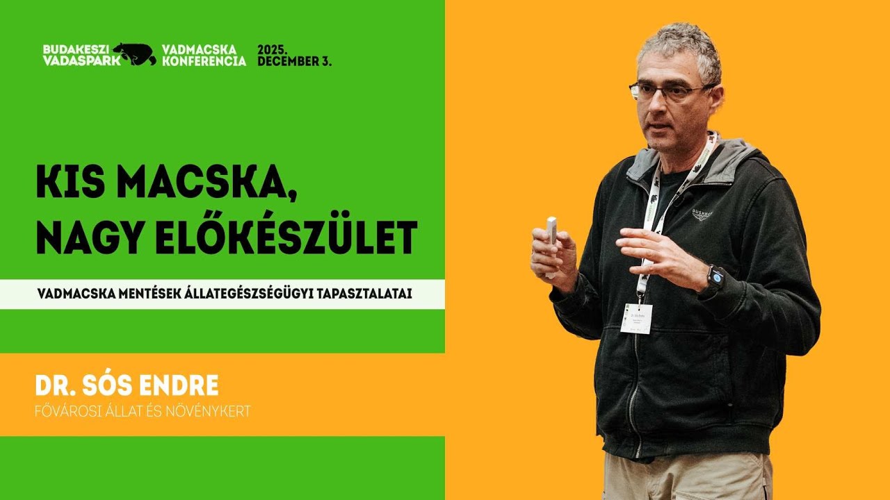 BudakesziVadaspark VadmacskaKonf 20251203 DrSosEndre 4K