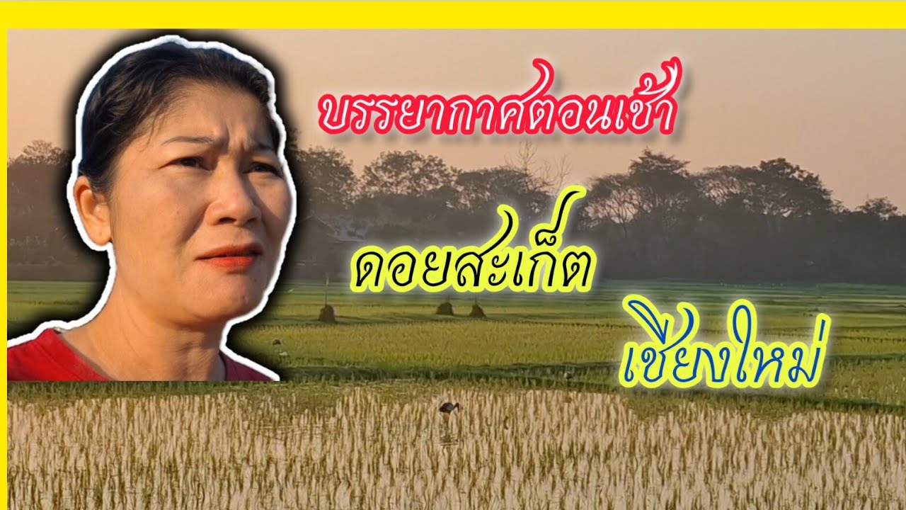 เดินทางมาถึงบ้านลูกค้าที่ อ.ดอยสะเก็ต จ.เชียงใหม่ บรรยากาศยามเช้าสดชื่นมาก!!