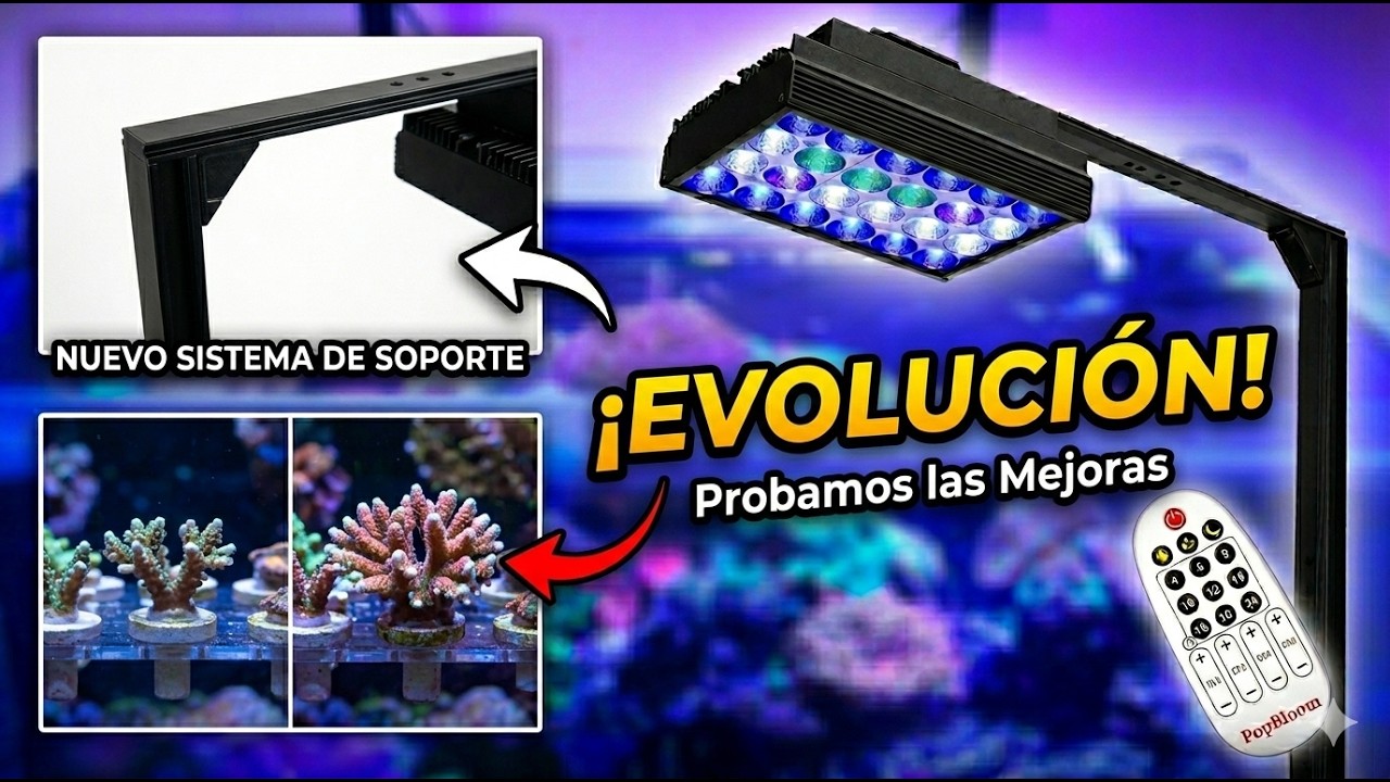 POPBLOOM actualiza su pantalla: SHANNON S16Pro. Análisis de espectro.