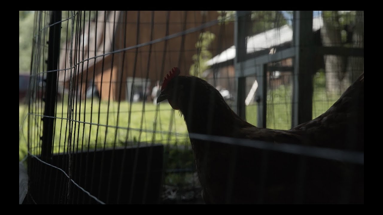 The Wrecks record an EP... in a barn.