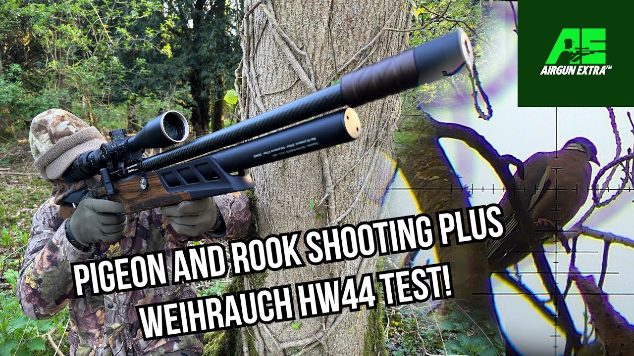 Airgun Extra | Охота на голубей и грачей | Обзор пистолета Weihrauch HW44