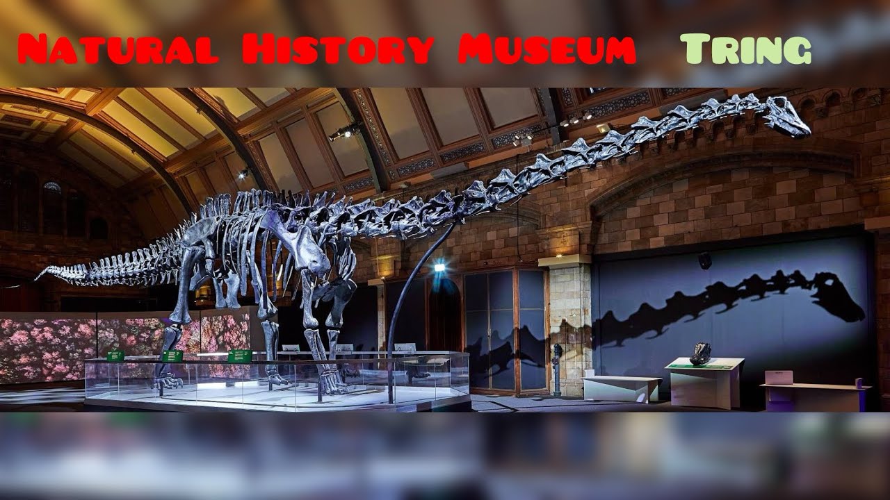 Natural History Museum Tring,