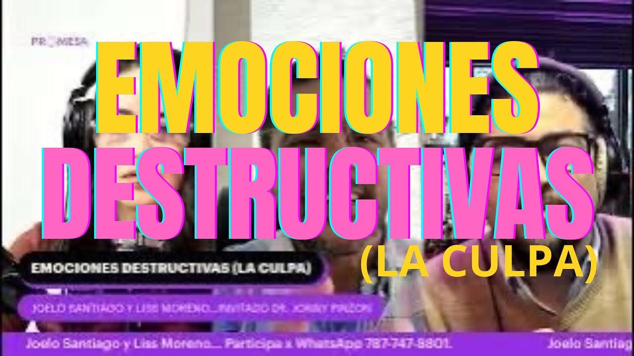 EMOCIONES DESTRUCTIVAS (LA CULPA)