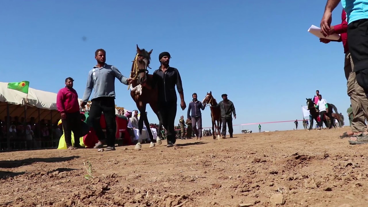 تقرير سباق الخيول لأول مرة بحضور الرئاسة المشتركة لمنظمة روج آفا 14-5-2018