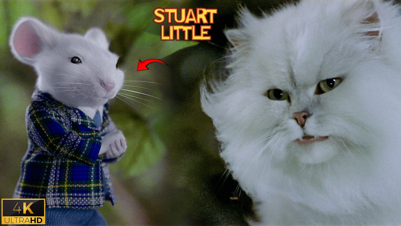 Stuart’s Brave Escape from Snowbell & Smokey – Stuart Little (1999)