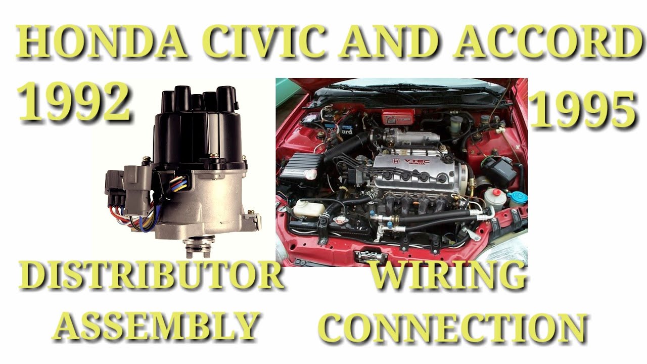 Distributor Assembly Wiring Connection Honda Civic And Honda Accord 1992-1995