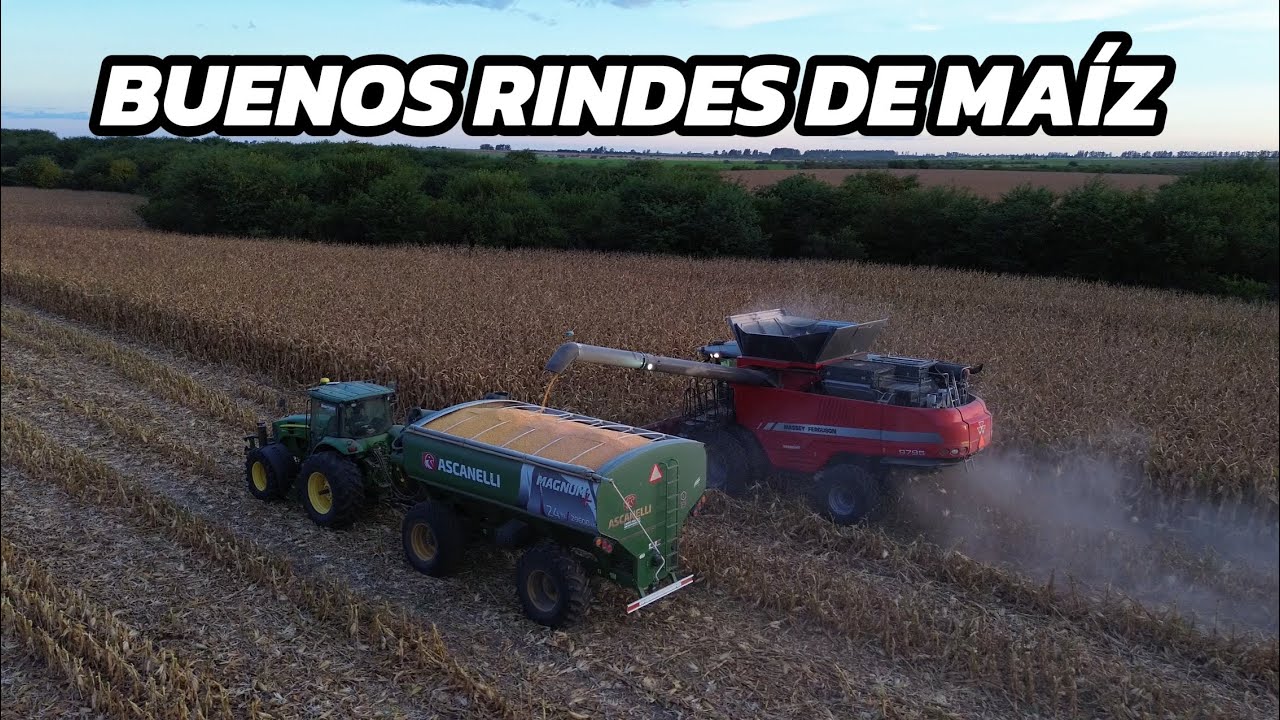 COSECHA de MAIZ, CARGANDO 12 CAMIONES por DIA!  y DURMIENDO en la CASILLA
