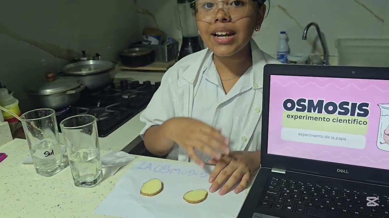 Ósmosis 