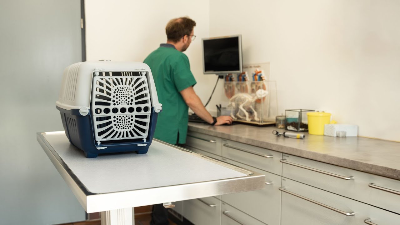 Transportbox aus Kunststoff | TB0090 |  lionto