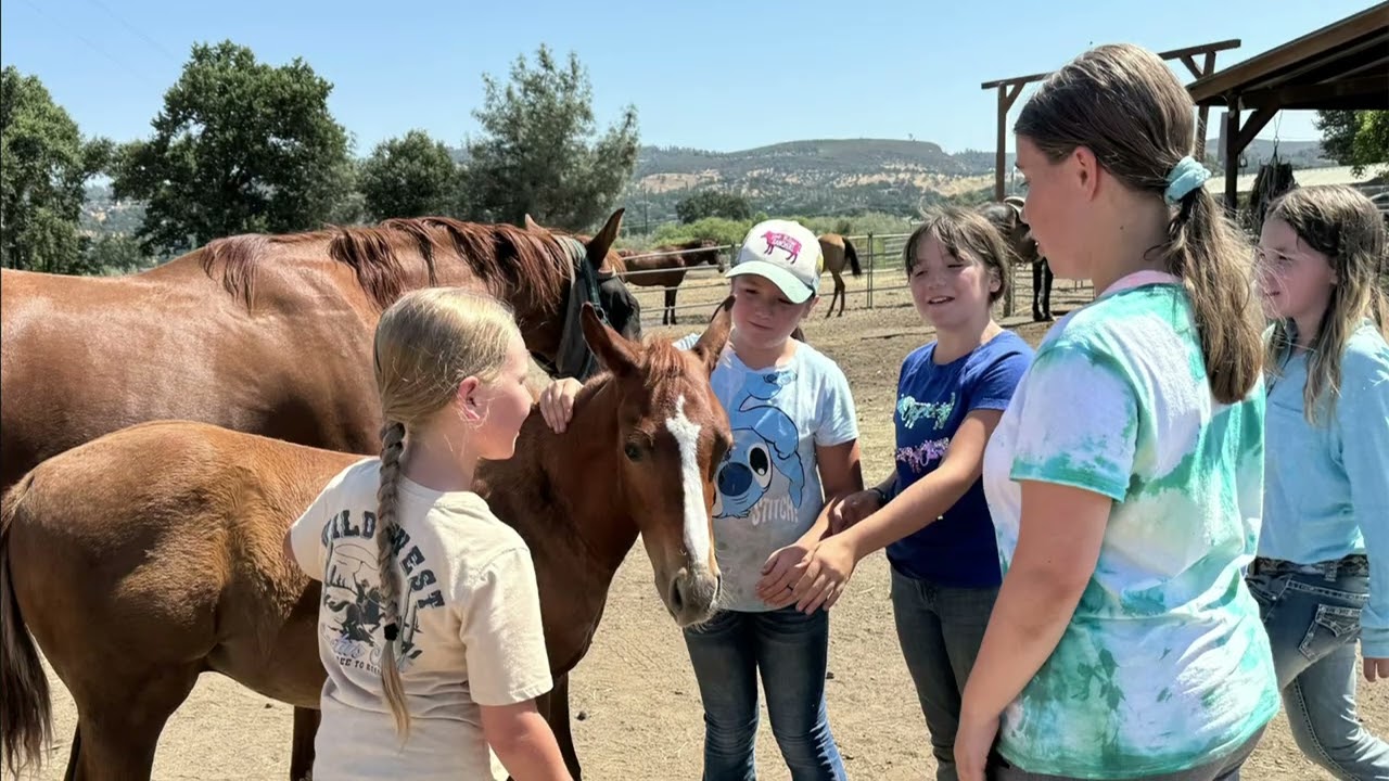 The Future of Horse-Human Connection | BEYOND liberty
