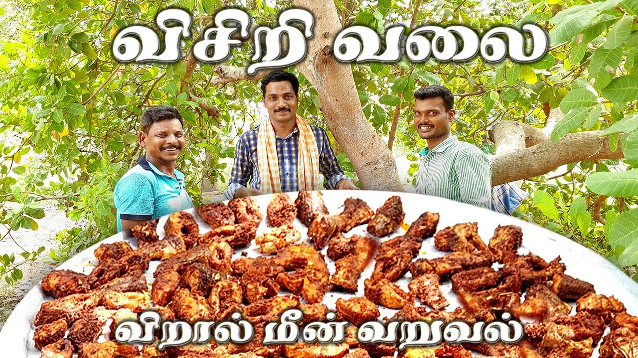 Visiri Valai Viraal Fish Catching & Cooking - SERVED FOR 25 OLD AGE PEOPLE | Health benefits