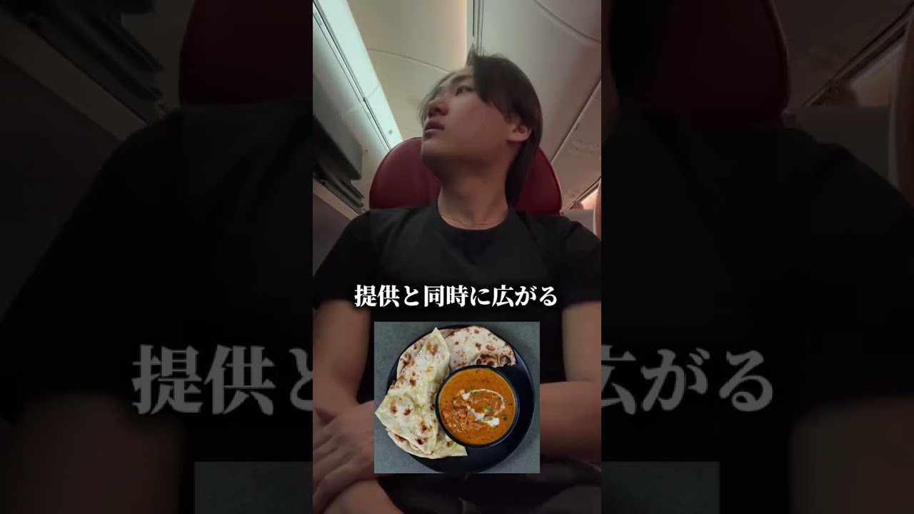 初めてAIR INDIAに乗ってみた感想🇮🇳 #インド  #飛行機
