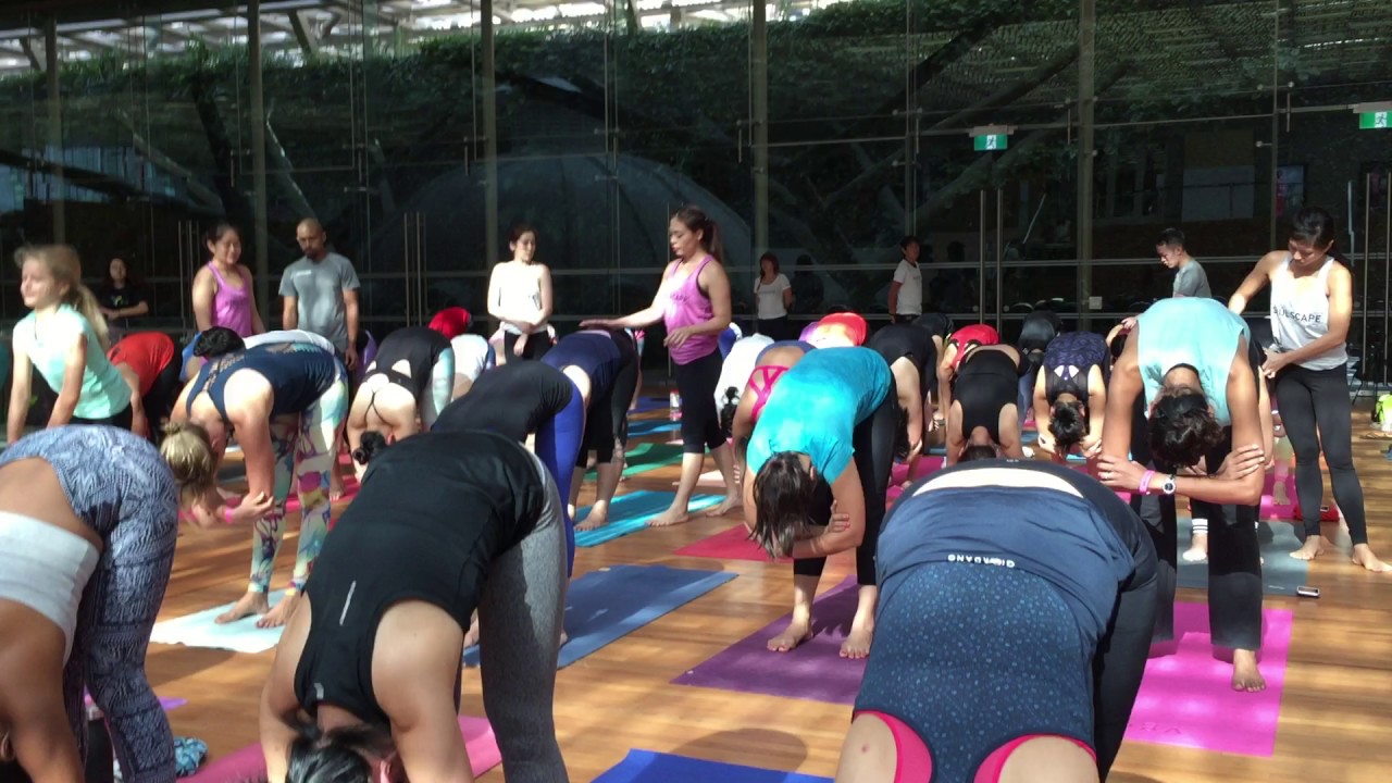 Mass yoga session 