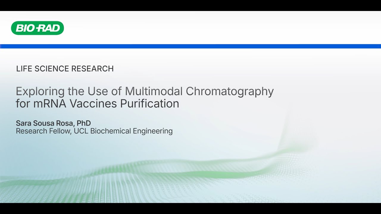 Exploring the Use of Multimodal Chromatography for the Purification of mRNA Vaccines